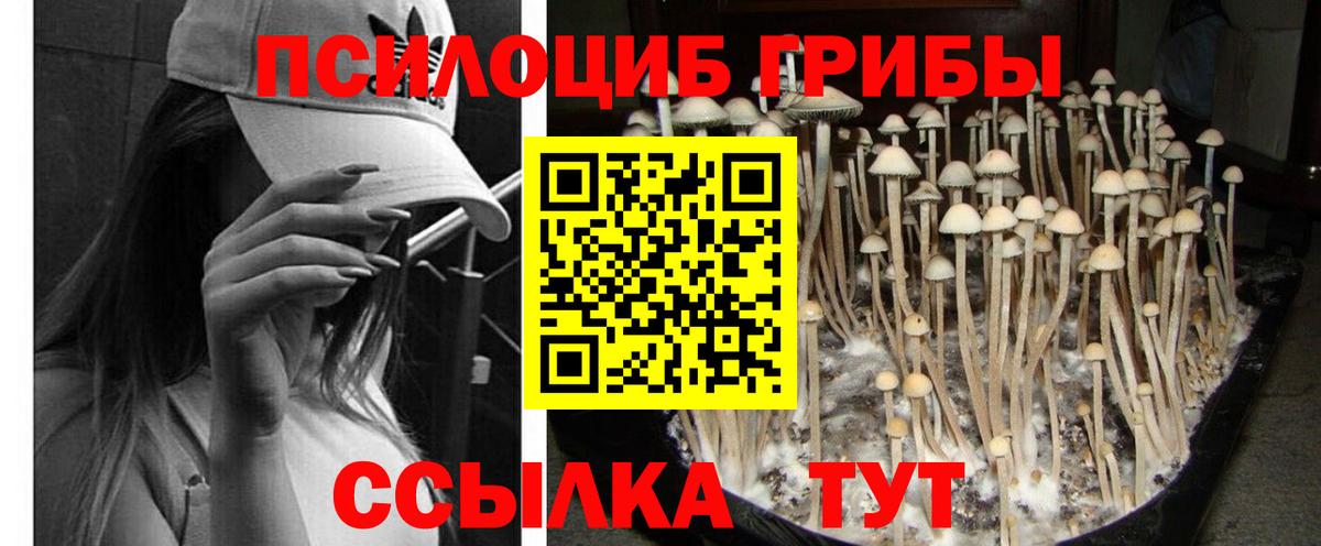 НБОМе Барнаул