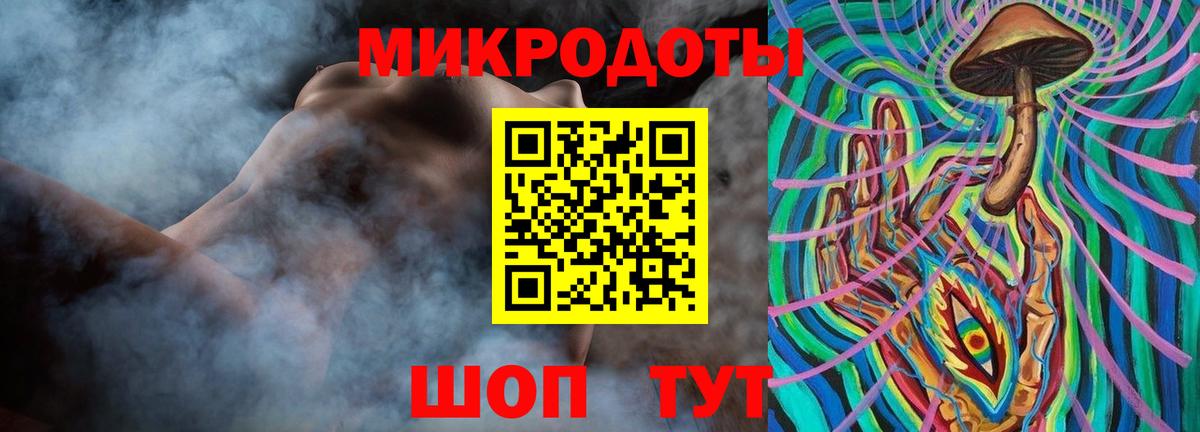 Псилоцибиновые грибы Psilocybine cubensis Барнаул